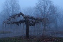 Вечернее / Кадр без &quot;изгиба&quot; автомобильных фонарей.
http://photocentra.ru/work.php?id_photo=207285&amp;id_auth_photo=2657&amp;sort=rating&amp;page=1#t
Какой Вам вариант?