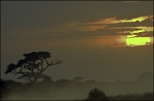 Закат в Африке / Солнце падает за 20 минут. При этом в течение двух недель нашего пребывания заход солнца закрывали облака.