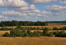 Покровская горка / Вологодская область, Кипеловский район, урочище Погост.