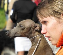 Важно смотреть в одном нарпавлении / CACIB Минск 10.9.2011