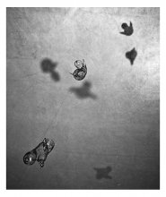 Неопределенность. / Под впячетлением о выставке Альберто Гарсия-Аликс «Необратимость»