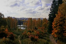 Про осень... / Под блеклым небом город спит
И видит сон, как Осень подступает
И с каждым днем все ярче расцветает!
А Лету вынесен безжалостный вердикт...