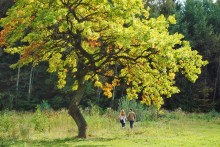 indian summer / **********