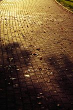Goodbye Yellow Brick Road... / в общем вот так как то...