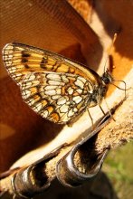 У дарозе / Фото в одном из моих путишествий