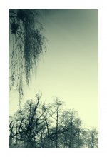 Haiku / Природа - лучший художник.