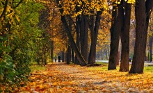 Street photo.The city of Dubna. / Улицы родного города в осеннюю пору.