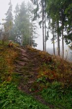 ............Осенние зарисовки............. / Хочется в горы...
Для лучшего просмотра http://alex-ugalek.livejournal.com/2196.html