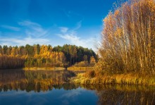 Осенняя сказка / Черная Порза