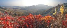 осень Киммерии / алеет скумпия в лучах заката