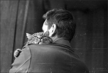 Кошачья фотография / 1983г., Находка, Черный Куст.
Лесной кот манул по кличке &quot;Никсон&quot; :)
