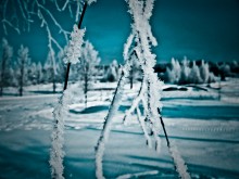 Мороз и солнце / день холодный