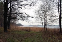 November steps / Lake Strusto. Near Braslaw.