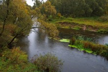 Ушачка / осенним дождливым днем