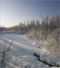 Зимняя картинка / Таймыр