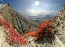 осень Киммерии / Крым, алеет скумпия на горных склонах