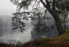 Задумчивое утро / Лениво туман рассеивается к осени