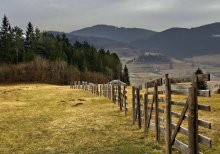 В Альпах / ***