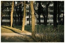 Тёплое психоделическое воскресенье / ***