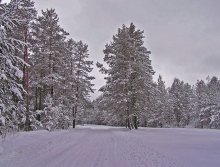 Зимняя сказка / ***