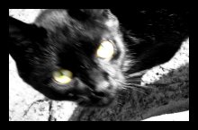 Взгляд-огонь / ***