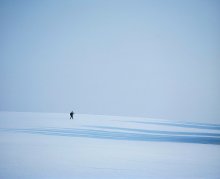 Портрет Фотографа на пленере / Посвящается моему любимому художнику - Карлосону, который живёт на крыше.