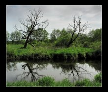 всю жизнь вместе, умереть в один день, ниразу не прикоснувшись друг к другу... / ***