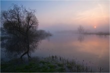 В апреле / Весеннее половодье