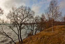 Во поле березка стояла / ******