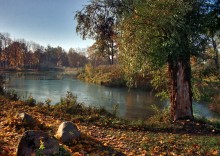 Осенний вид на Виттоловский пруд от Старой Ивы... / Пушкин, Александровский парк. Вид со стороны Грота...
