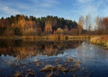 Первый ледок / 2010.......