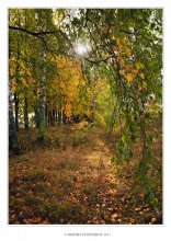 Autumn color / Осенний ясный день в октябре 2011 года.Набережная канала имени Москвы.