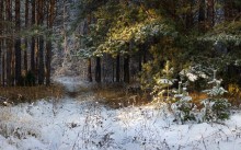 Этюд с первым снегом / Первый снег с солнышком.
По мотивам работ Лидии Бродской