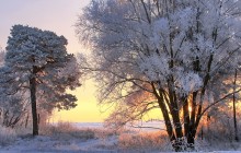 Рассвет зимы / Утро,зима,рассвет
