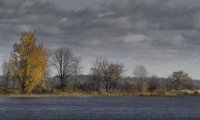 Transparent Autumn / Transparent Autumn