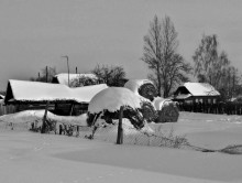 Деревенские зарисовки / ******