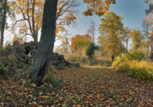 Осенний вид на Старую Иву у Виттоловского пруда. :-) / Пушкин, Александровский парк. Вид со стороны Грота...