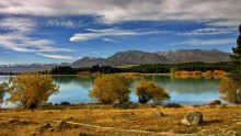 Золотые краски осени / Снимок сделан в апреле 2011 года на озере Текапо (Южный остров Новой Зеландии)