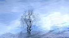 мечтательная акварелька / отражение в воде реки