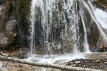 Водопад / Водопад на чайном домике, Крымский лес в районе Ай-Петри