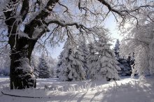 Зимняя, снежная, на контровом свете... / &quot;Под голубыми небесами
Великолепными коврами,
Блестя на солнце, снег лежит;...&quot;