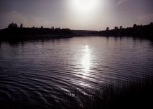 Тихое озеро / Спокойный летний день.
Лишь от травы озерной тень.
Хрустально чистая вода,
В ней отраженья небосвода...