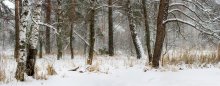 Зимний этюд / Не видно под снегом скованной льдом и припорошенной снегопадом небольшой речушки...