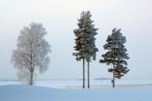 Про рыбаков / Так, на всякий случай, на дереве почтовый ящик, пишите письма и комментарии :)