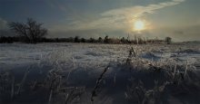 ... A winter crop / ...зимний урожай