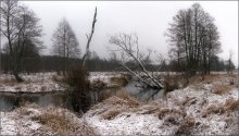 О сером и дождливом январе... / Начало сезона 2012... Ветер, снег, град, дождь