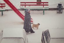 Когда в Минске был снегопад... / Женщина выгуливала собачку.