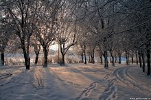 Прогулка по парку / Тверь, у Речного вокзала