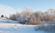 Зимняя сказка / зимнее утро