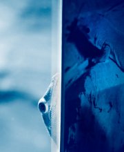 &nbsp; / Пятна и полосы